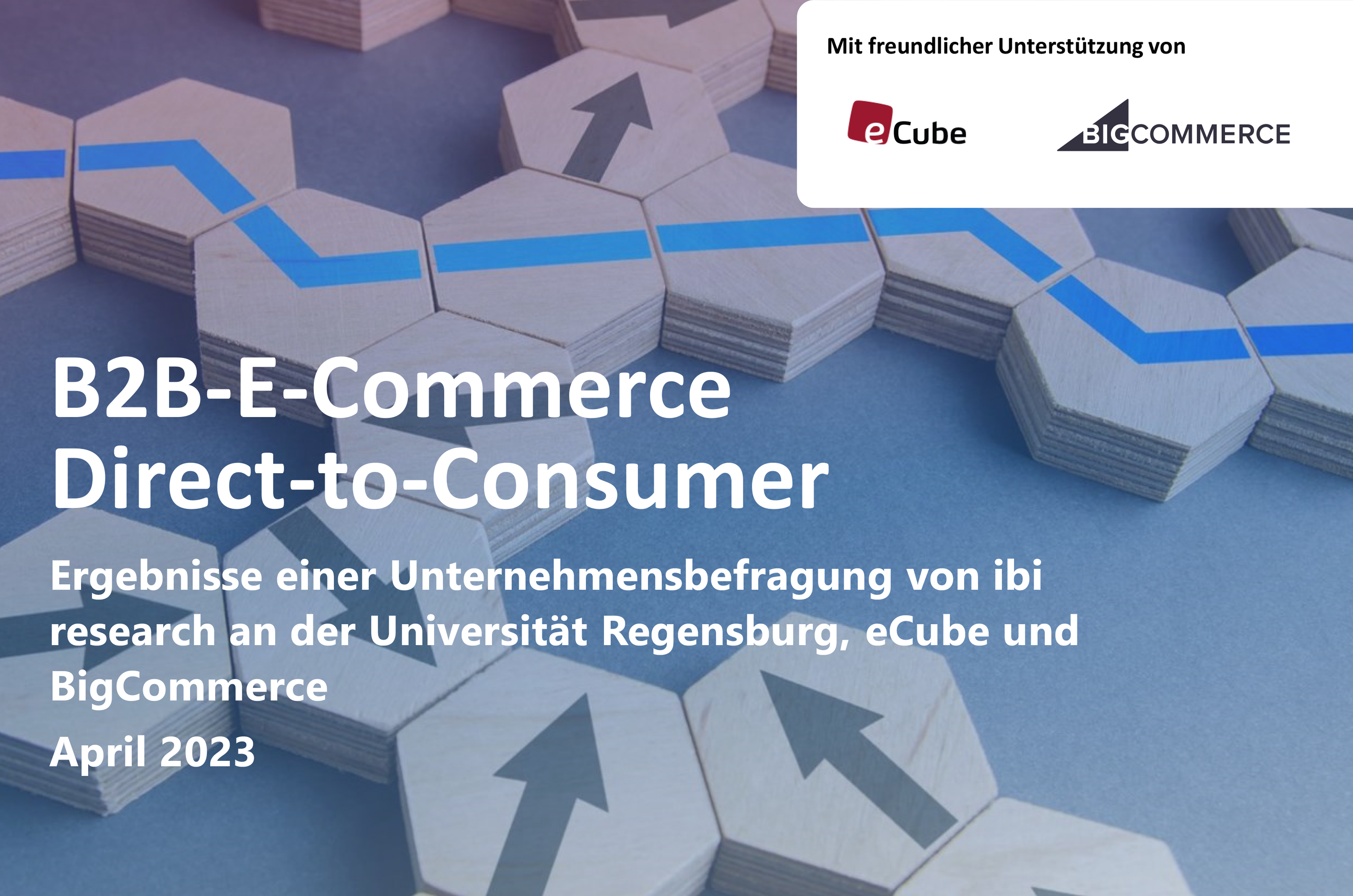 Titelbild der Studie B2B-E-Commerce Direct-to-Consumer